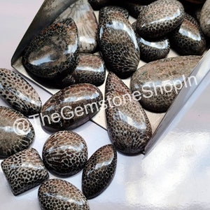Wholesale Fossil Coral Gemstone Lot, Black Fossil Coral Cabochon Lot, Natural Fossil Coral Crystal Stone for Ring, Pendant Jewelry Stone