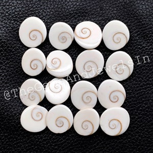 Może przedstawiać: Kolekcja 15 okrągłych kaboszonów z białej i brązowej muszli. Muszle mają spiralny wzór w środku.