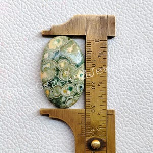 May include: Oval shaped green, white, and brown jasper cabochon measuring approximately 2.5 cm in length. The cabochon is being measured with a ruler.