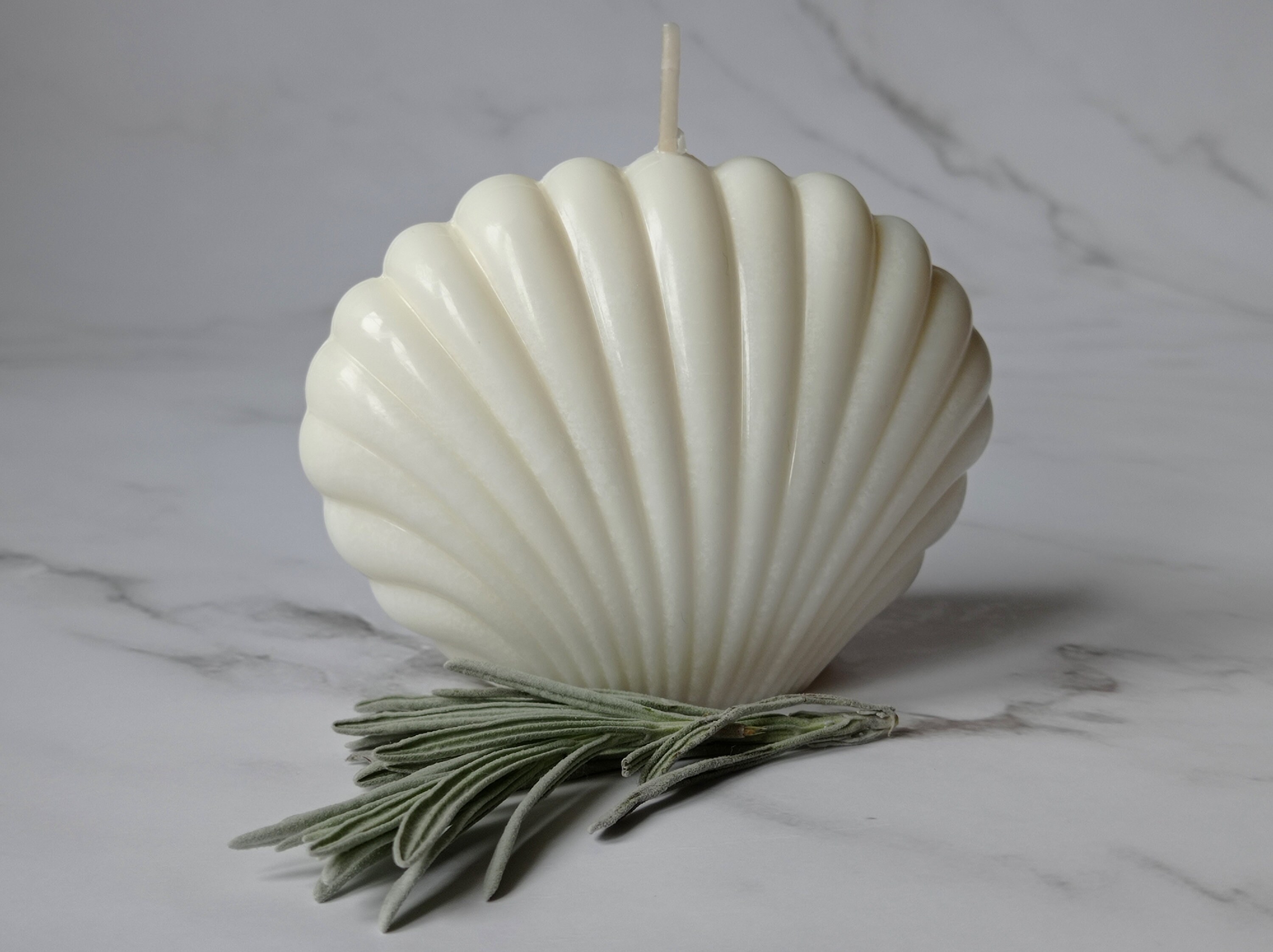 Large Shell Candle Scented Decorative Candle Oyster Seashell Etsy