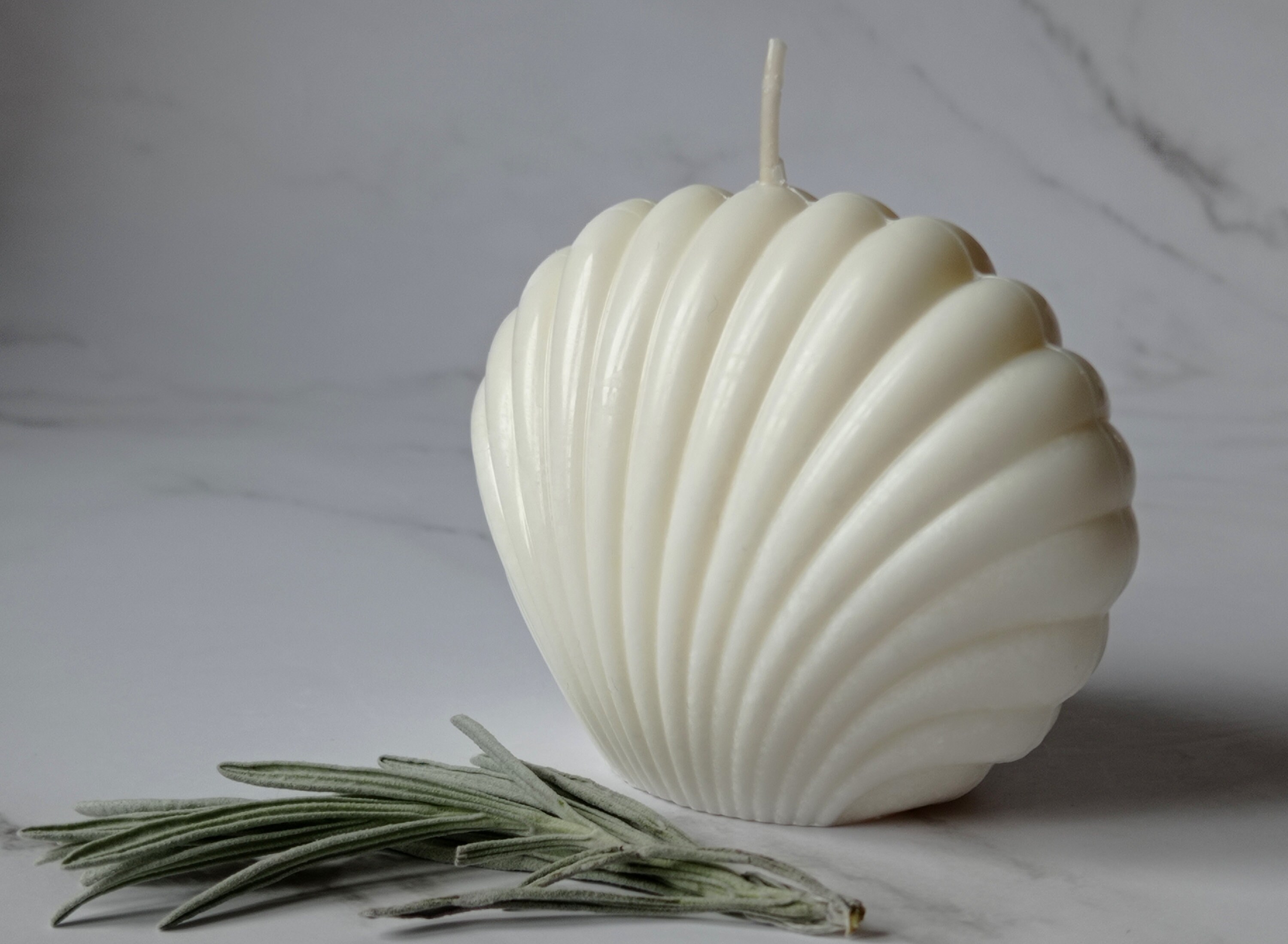 Large Shell Candle Scented Decorative Candle Oyster Seashell Etsy