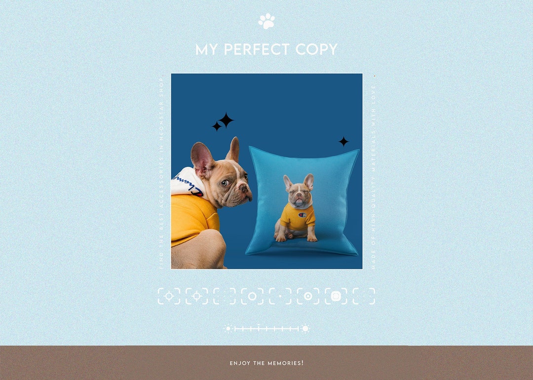 Custom Pet Pillow, Custom Pet Photo Pillow, Custom Dog Pillow, Personalized Dog Pillow, Dog