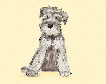 May include: A gray and white miniature schnauzer dog sitting on a light yellow background.
