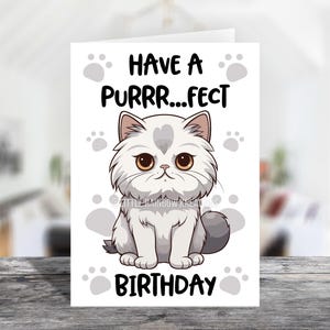 Cute Persian Cat | Birthday Card