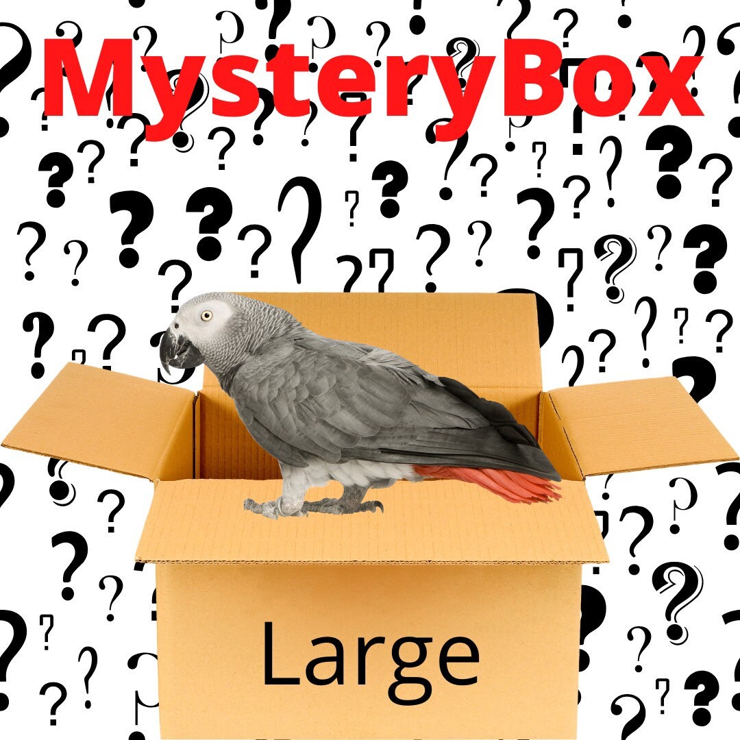 Large Mystery Bird Toy Box Bird Toy Box Parrot Toys African Etsy