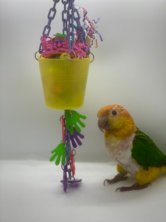 fun bird toys