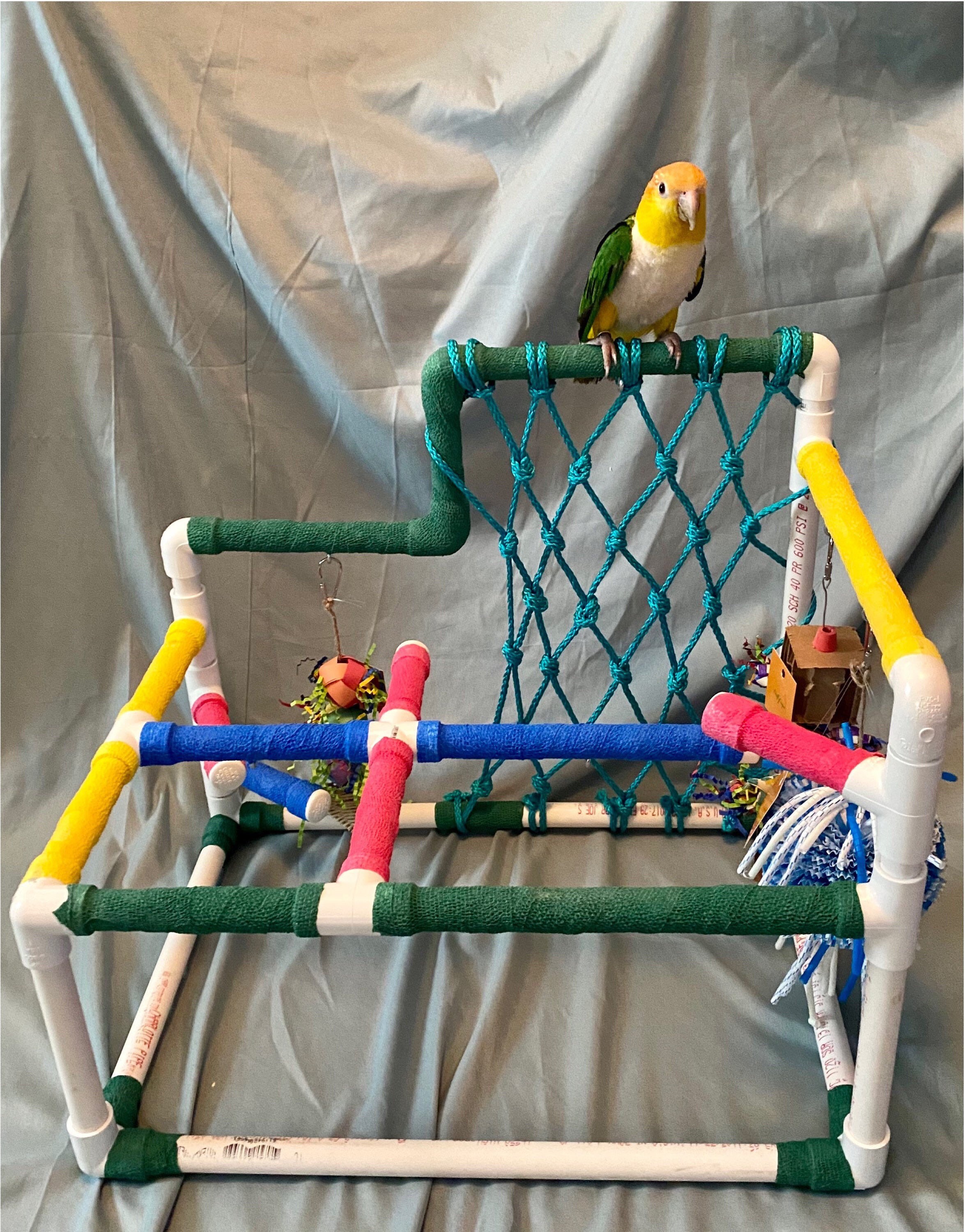 Tabletop PVC Bird Stand Parrot Play stand Bird Stand Bird Etsy