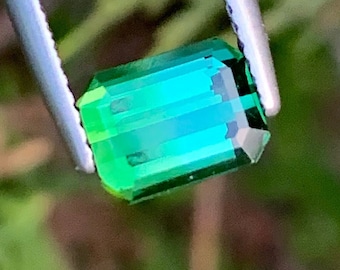 1.90 Carat Bluish Green Tourmaline Gemstone: Emerald Cut, Afghanistan Origin