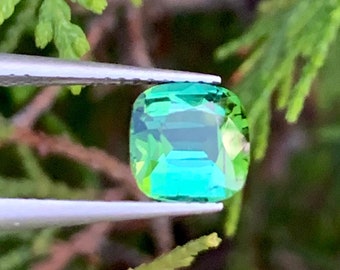 1.60 Carat Blue Green Tourmaline Gemstone: Cushion Cut, Afghanistan Origin