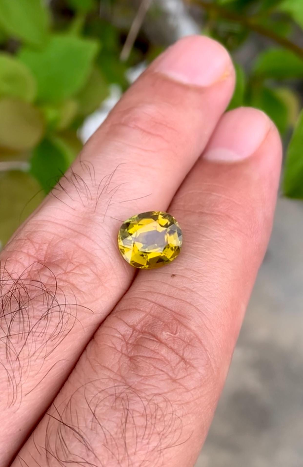 カナリアイエロートルマリン宝石：3.50カラットクッションカット 