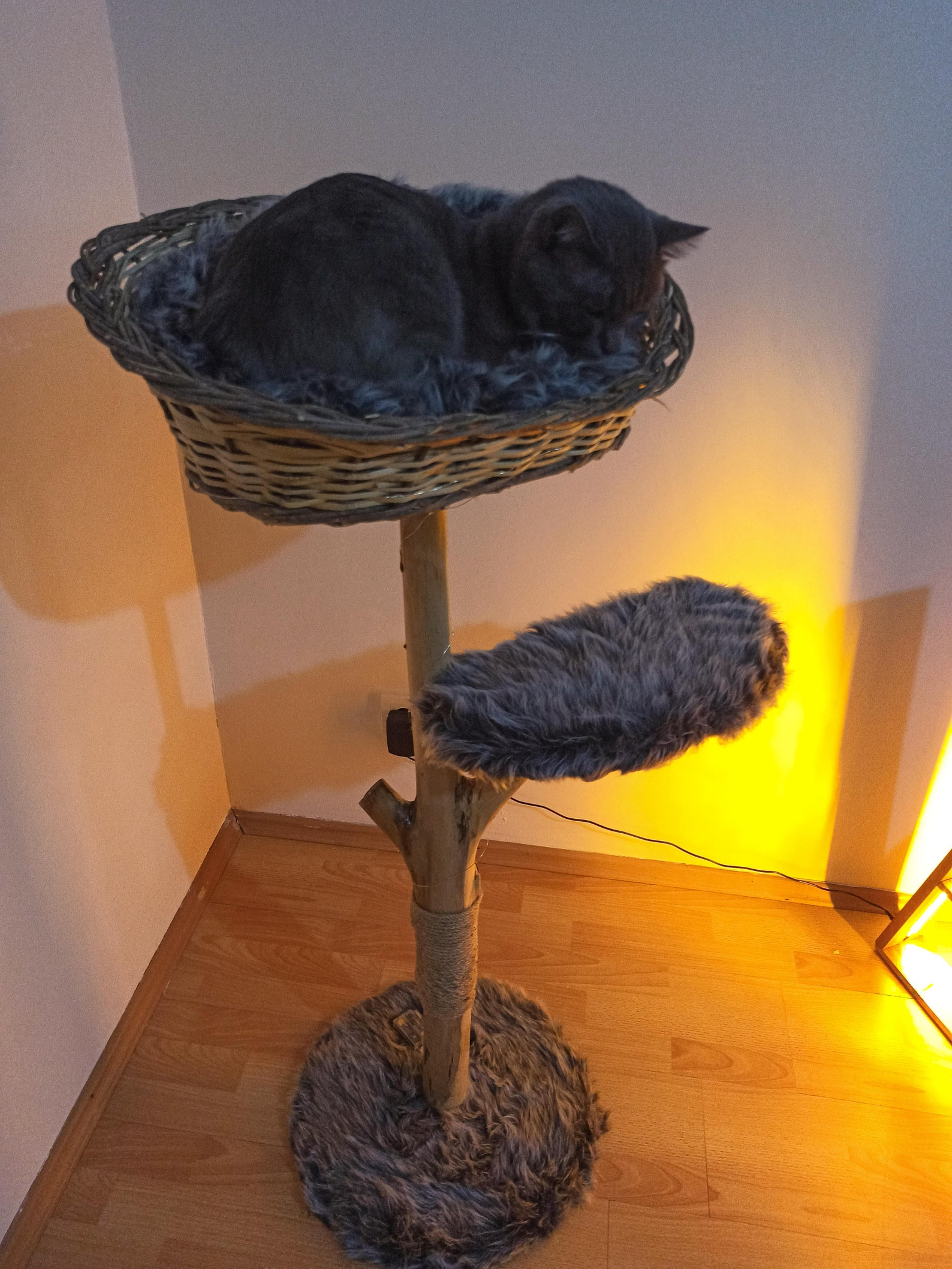 Cat Furniture Cat Bed Cat Tower Cat Tree Pet Furniture. Etsy