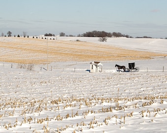 Amish Iowa Fine Art Photography Print of a Horse and Buggy Near Phone Shack in a Snowy Field in Iowa | Folk art | Fine Art Photography