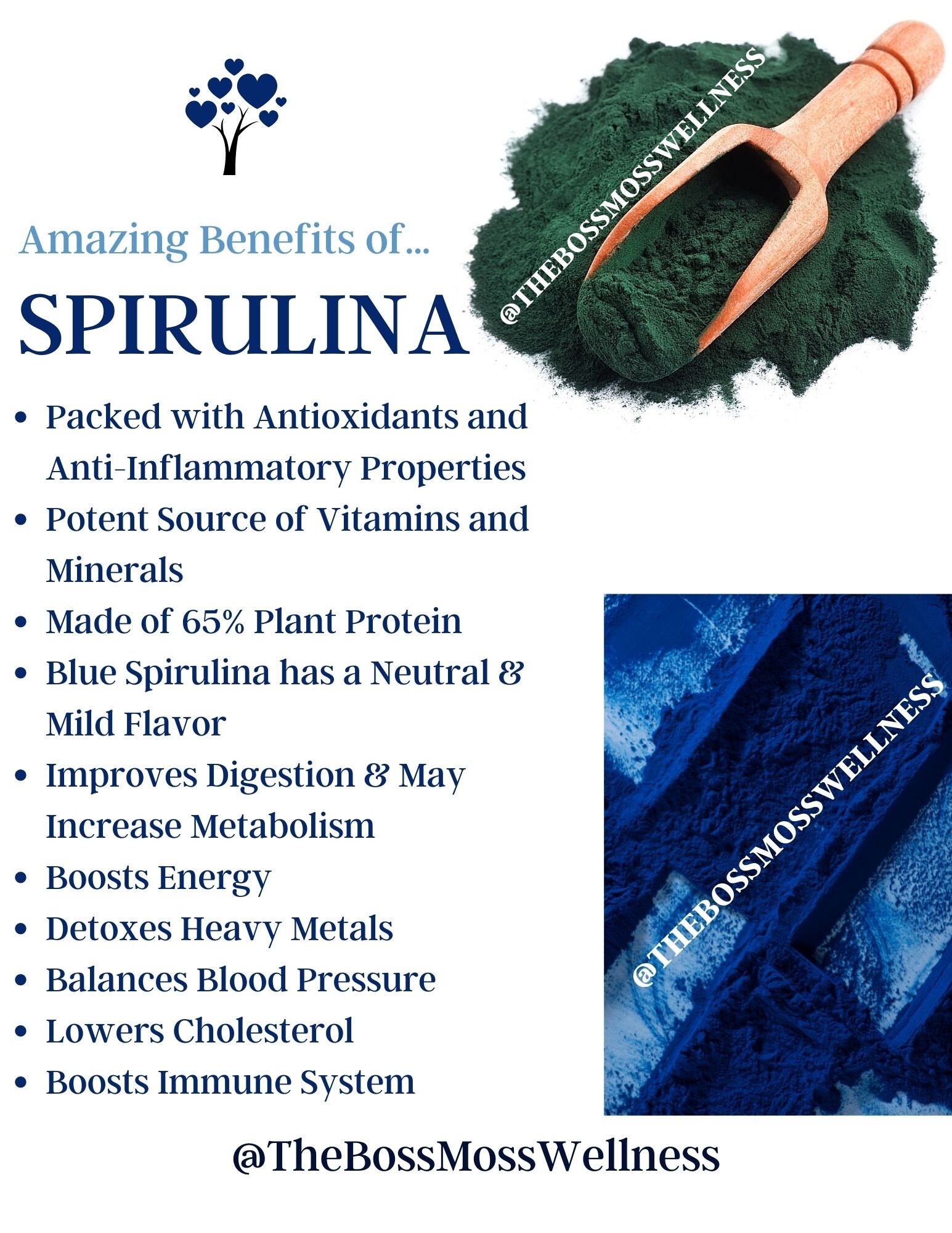 Blue Spirulina Sea Moss Gel Addon Infused With Organic Etsy Canada