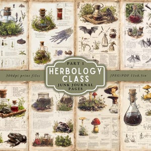 May include: A set of vintage-style herbology class junk journal pages. The pages feature illustrations of plants, potions, mushrooms, and frogs, with text that reads "Herbology Class" and "Junk Journal Pages". The pages are printed on aged paper.