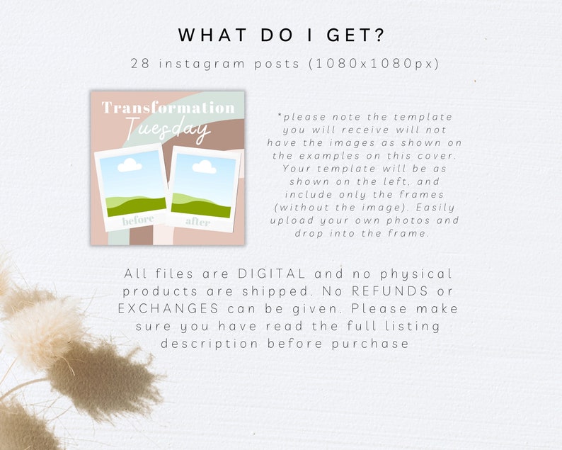 May include: Digital Instagram post templates with the text "Transformation Tuesday." The design includes two photo frames labeled "before" and "after," set against a backdrop of pastel colors. The image also includes the text "WHAT DO I GET?" and "28 instagram posts (1080x1080px)."