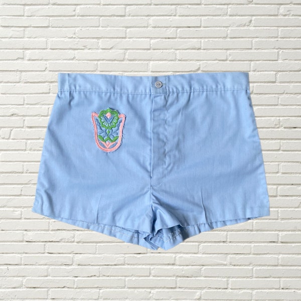 Vintage 70s Shorts - Pastel Baby Blue Hot Pants - Flor all Embroidered- Sears size M/L