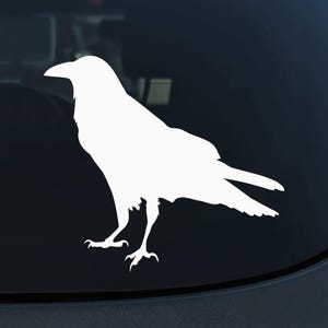 May include: White silhouette of a raven or crow with its wings spread out. The bird is facing left and has a long beak. The silhouette is on a black background.