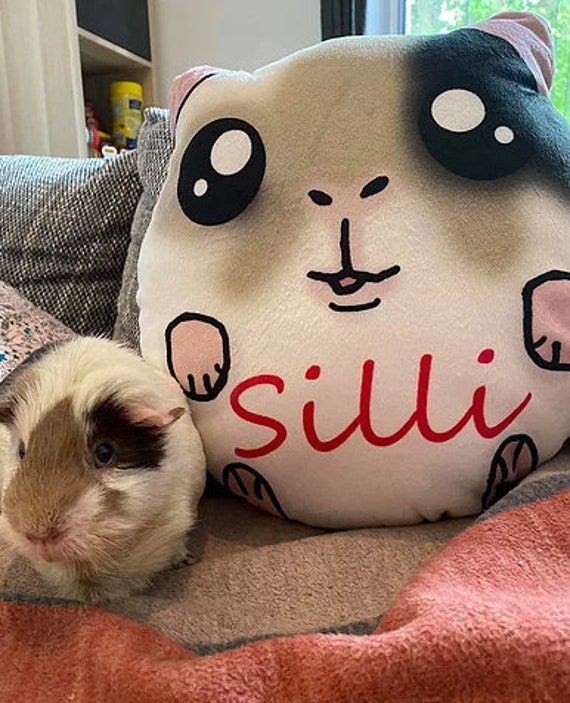 Custom made guinea pig plush pillows Etsy