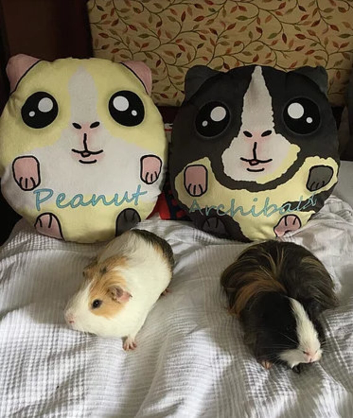 Custom made guinea pig plush pillows Etsy