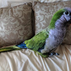 Monk Parakeet Plush Pillow: Custom Shaped Bird Cushion Quaker Bird