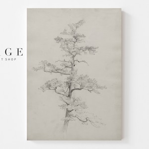 Pine Tree Wall Art | Neutral Tree Sketch | Rustic Wall Art | 148