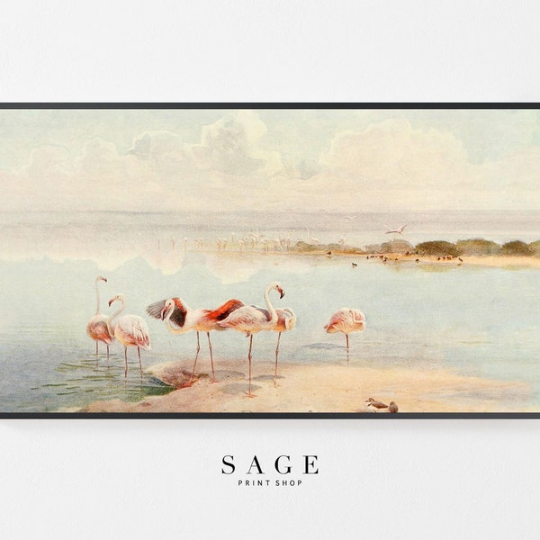 Frame TV Flamingo | Samsung Frame TV Art Coastal Flamingos | 214