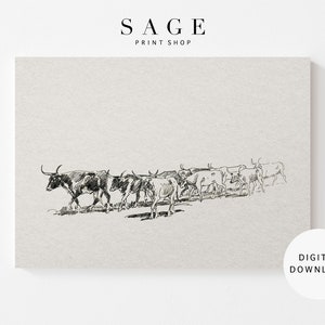 Longhorns Vintage Drawing, Herd of Cattle Sketch, PRINTABLE, 131