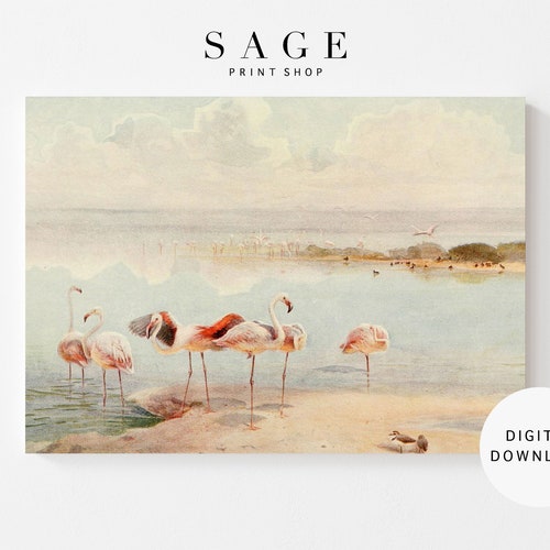 Flamingo Wall Art Flamingo Print Vintage Florida Wall Art Etsy