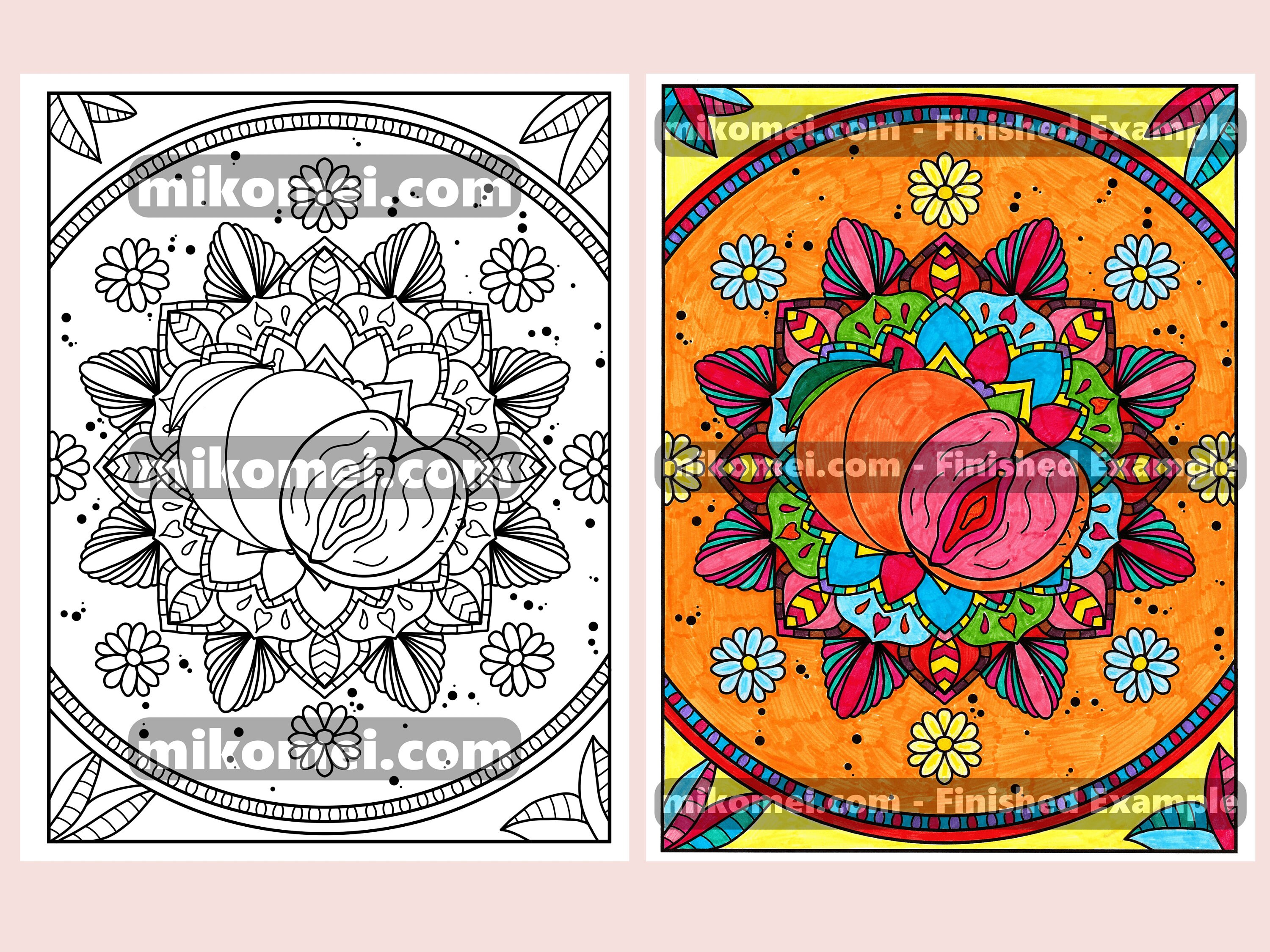 Sexual Anatomy Coloring Book : 30-page PDF - Etsy