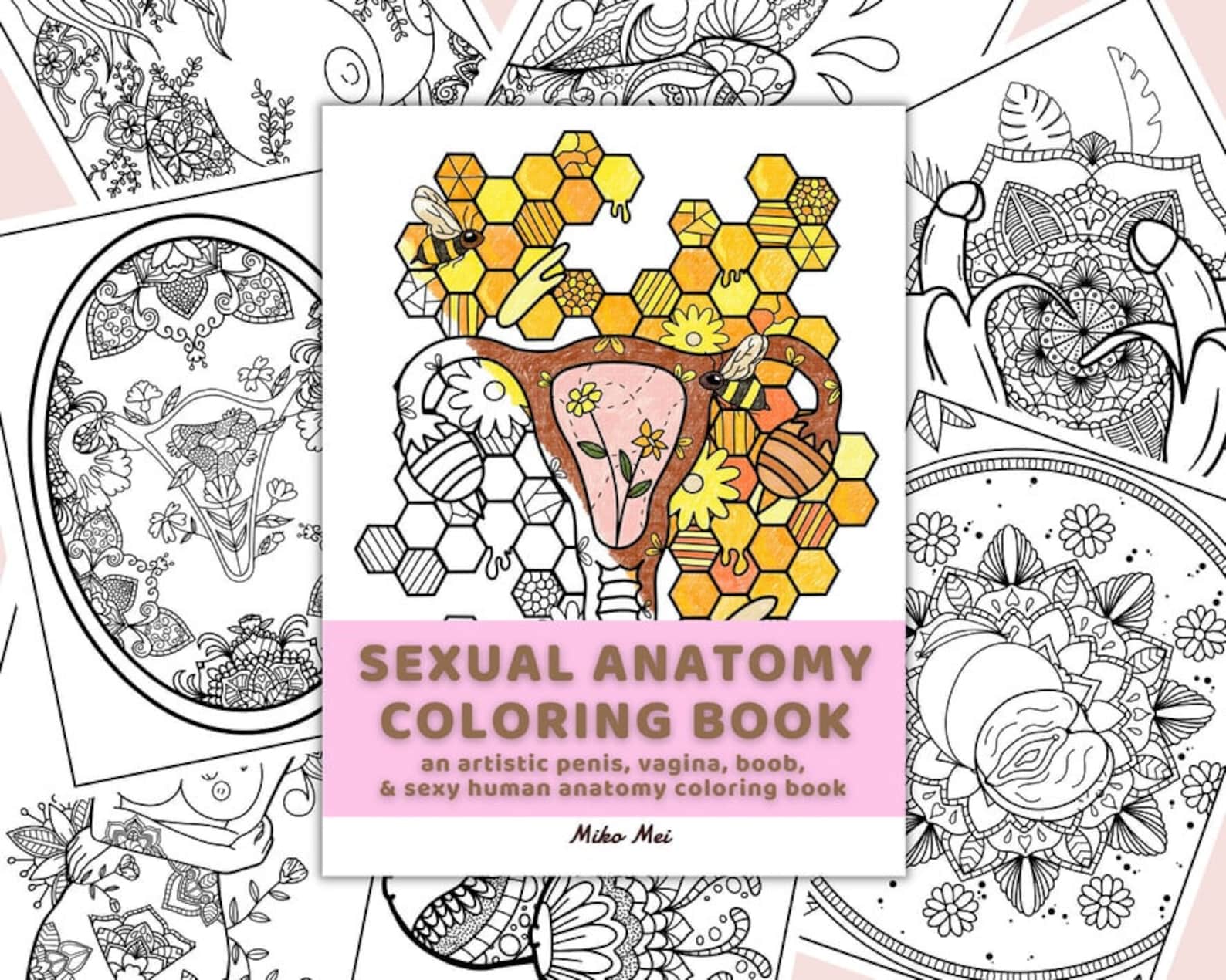 sexual anatomy coloring book 