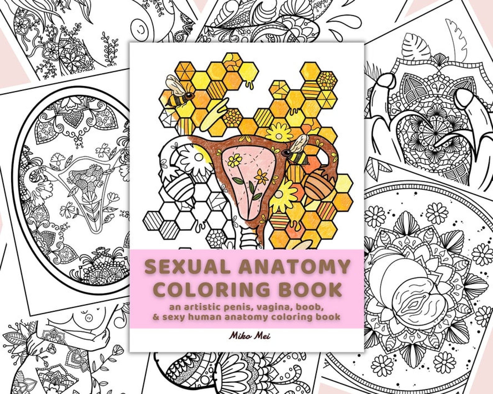 sexual anatomy coloring book 