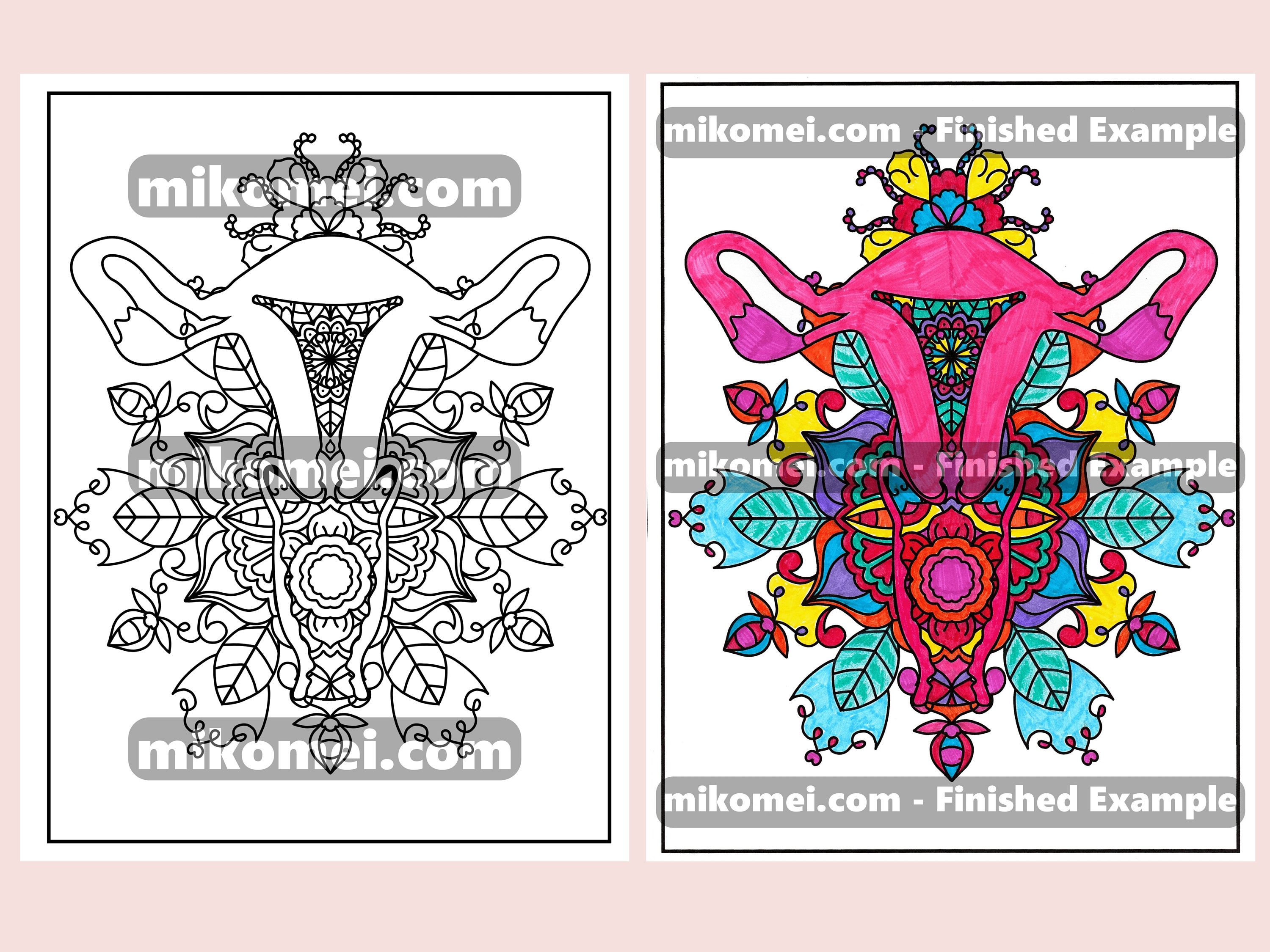 Sexual Anatomy Coloring Book : 30-page PDF - Etsy