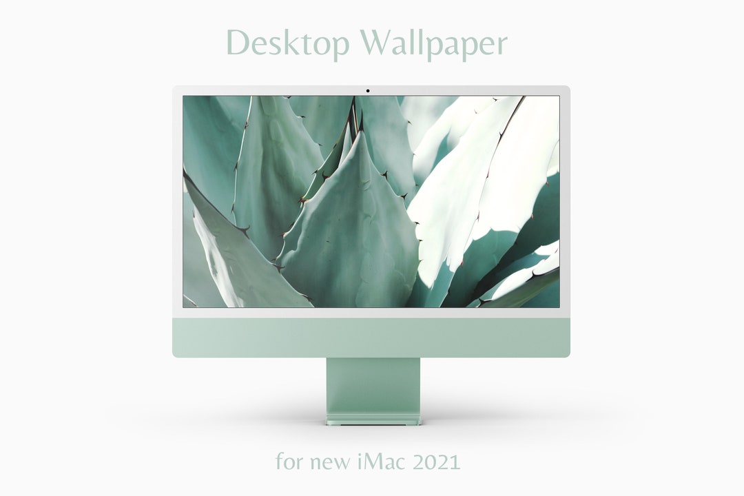 Imac 2021 Desktop Wallpaper Green Aloe Photography - Etsy