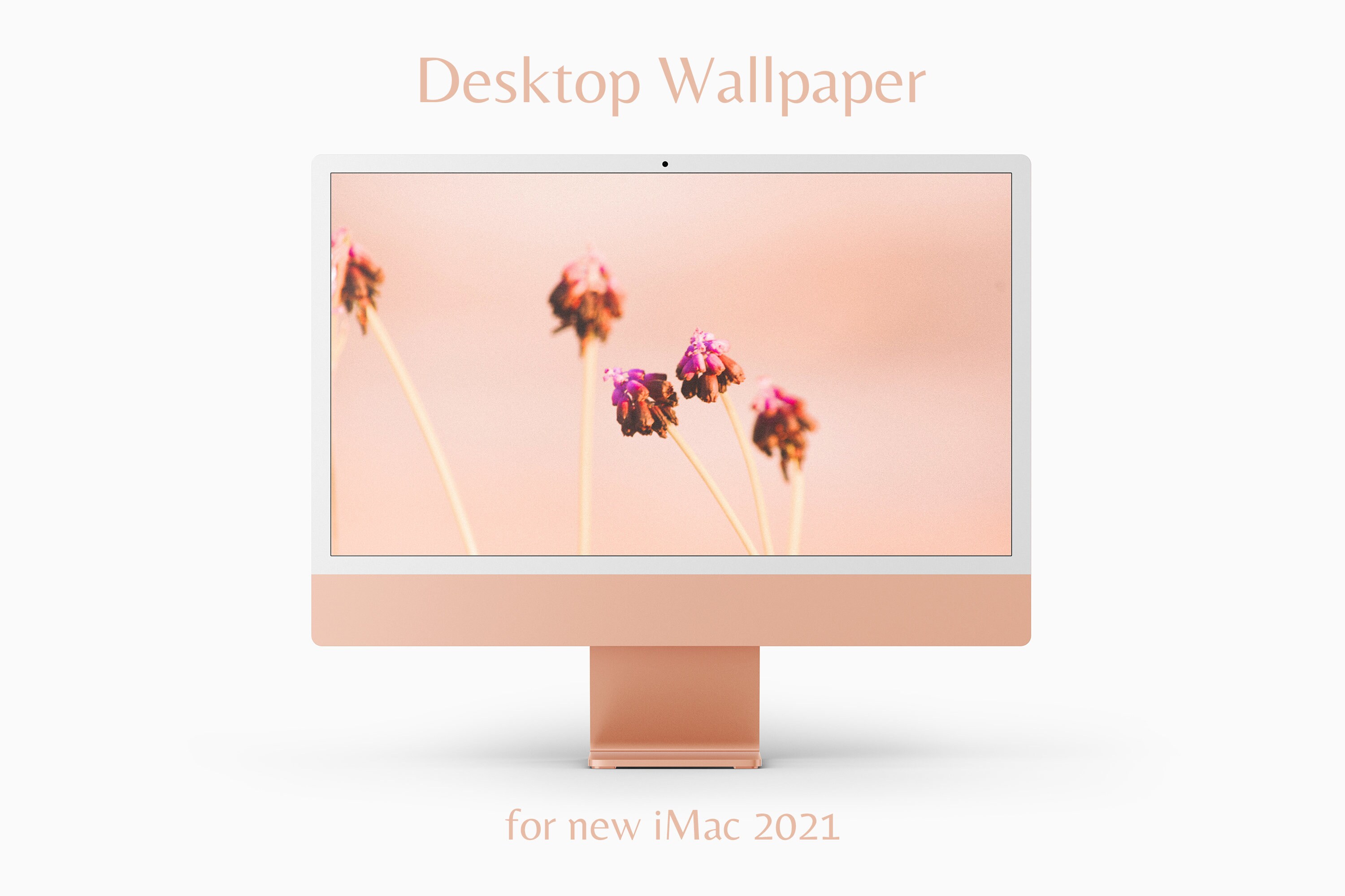 Imac 21 Desktop Wallpaper Orange Flower Photography Art Etsy