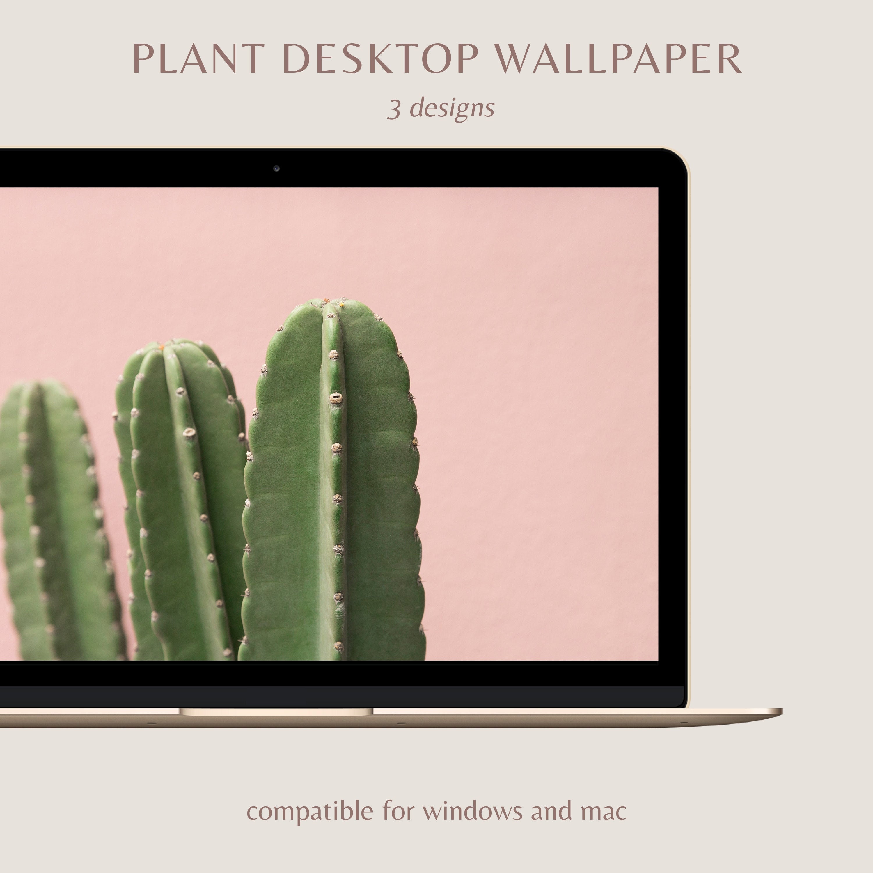 Cactus Wallpapers - Etsy Cactus Wallpapers - Etsy