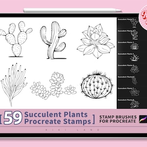 59 Procreate Succulent Plants Illustration brush set.Easy Plants Paint works.Brushes For Help Drawing.Procreate Guide Brushes