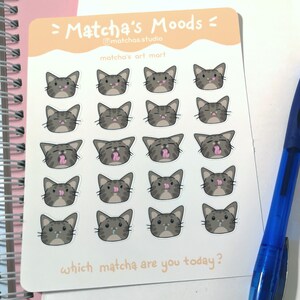 Les humeurs du matcha | Kawaii Cat Deco Sticker Sheet / feuille d’autocollants mats ambiances mignonnes