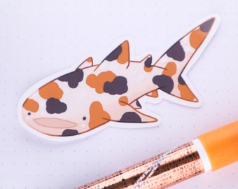 Calico Whale Shark / Glossy Sticker / kawaii bujo planner stickers (tiburones / vida marina / peces)