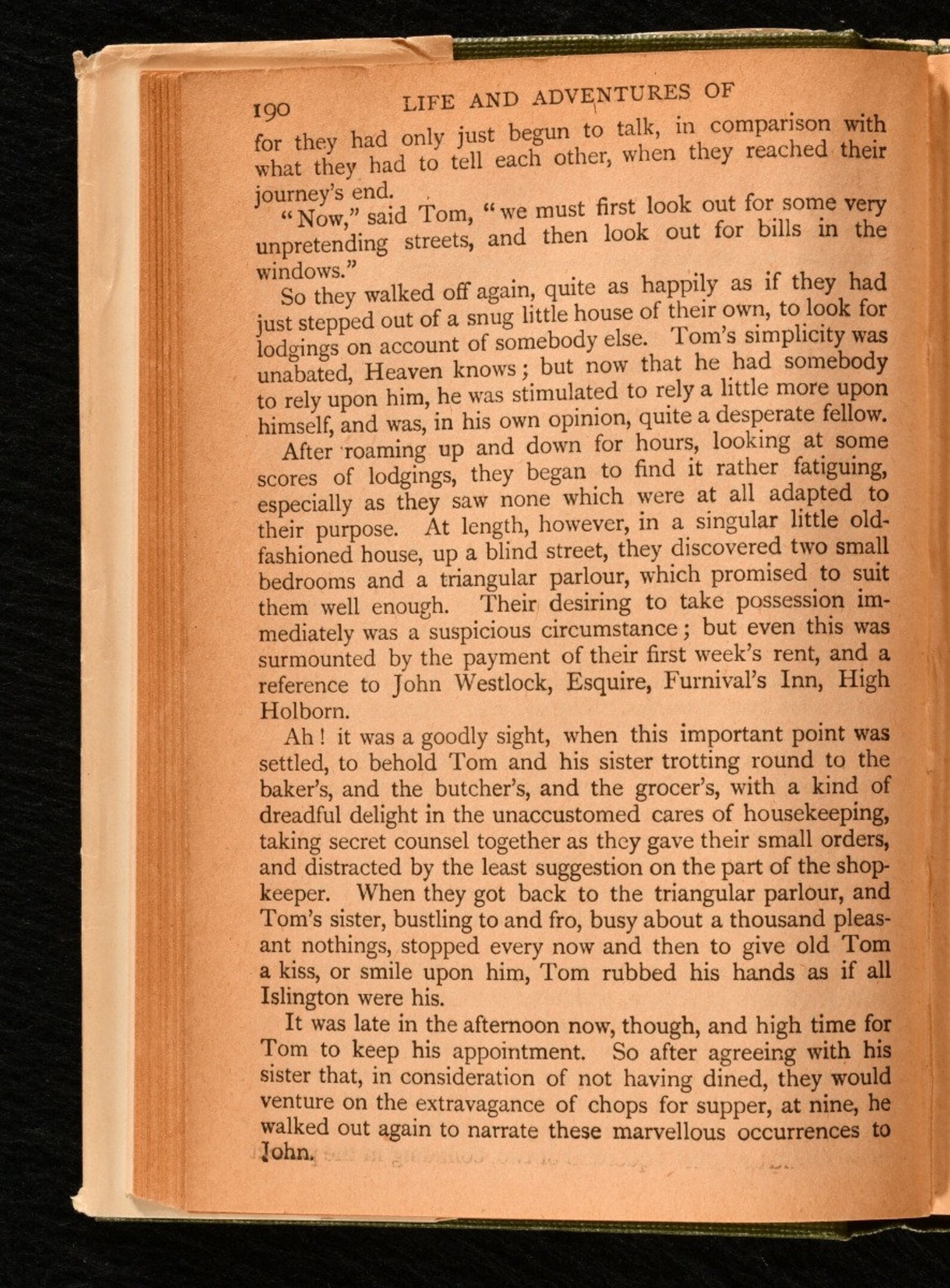 Martin chuzzlewit critical essays 08 image