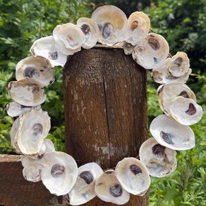 May include: A circular wreath constructed from numerous natural oyster shells. Each shell features a smooth, iridescent white interior with dark brown or grey markings at the center. The shells are arranged in an overlapping pattern to form a ring.