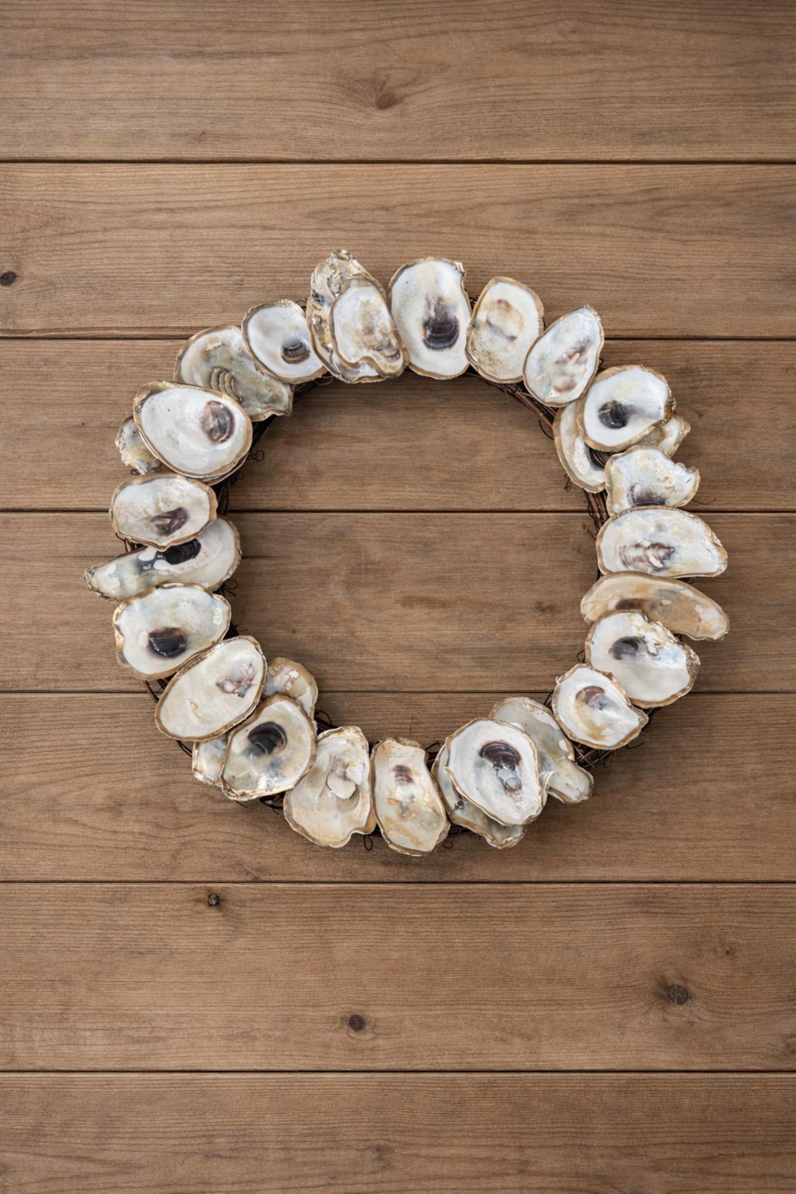 Shell Gold Rim Oyster Shell Gold Rimmed 10