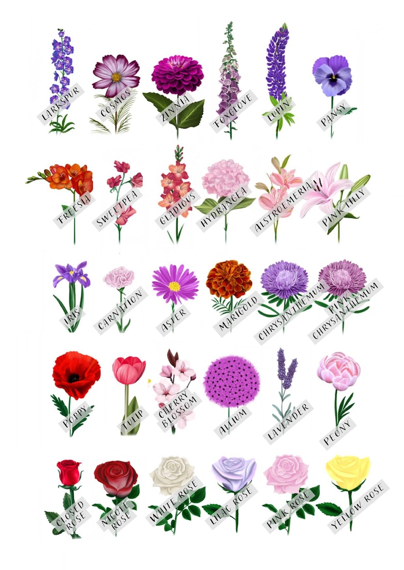 Personalised Family Flower Stem Print for Mums Birthday Birth Etsy UK