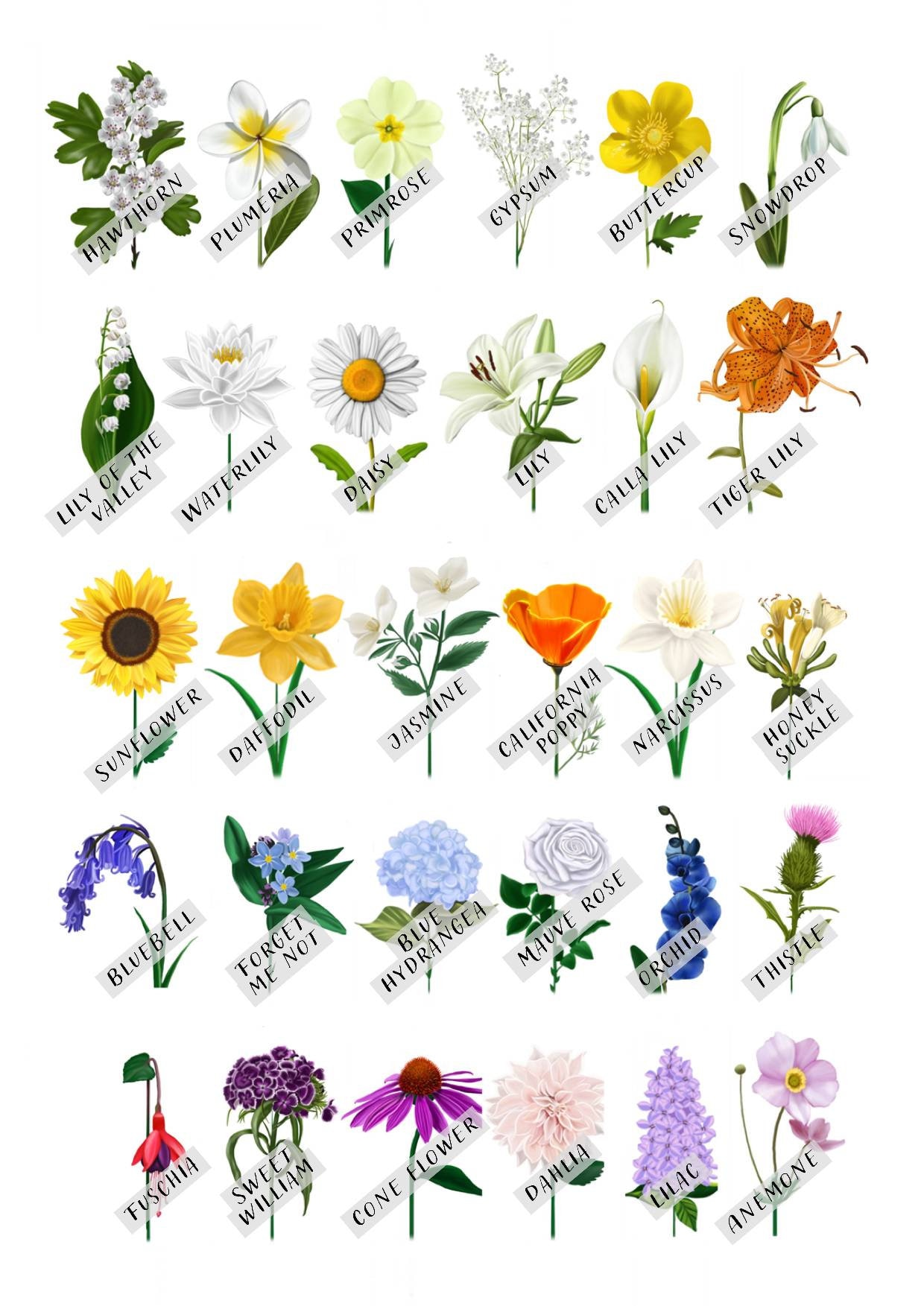 Personalised Family Flower Stem Print for Mums Birthday Birth | Etsy UK