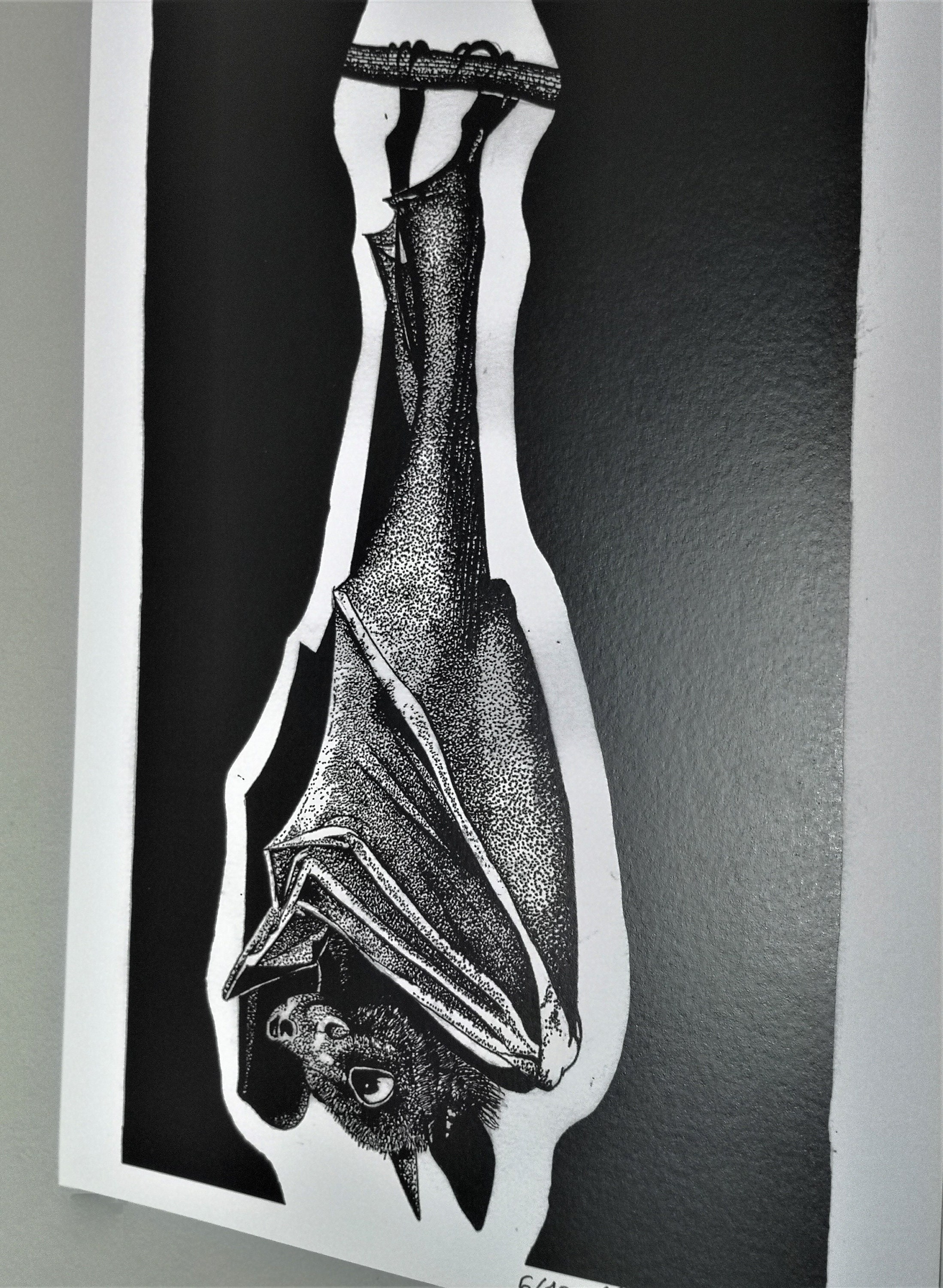 Pteropus 3 Cute Gothic Bat Art Print Etsy UK