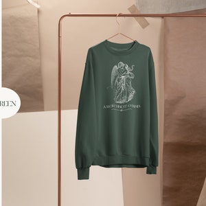 May include: Forest green sweatshirt with a white graphic of two figures embracing. The text "AMOR VINCIT OMNIA" is printed below the graphic.