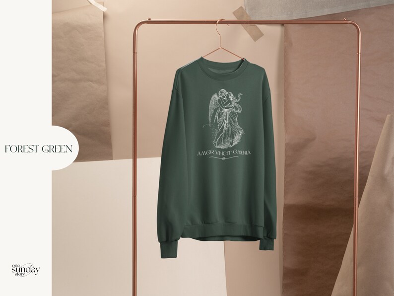 May include: Forest green sweatshirt with a white graphic of two figures embracing. The text "AMOR VINCIT OMNIA" is printed below the graphic.