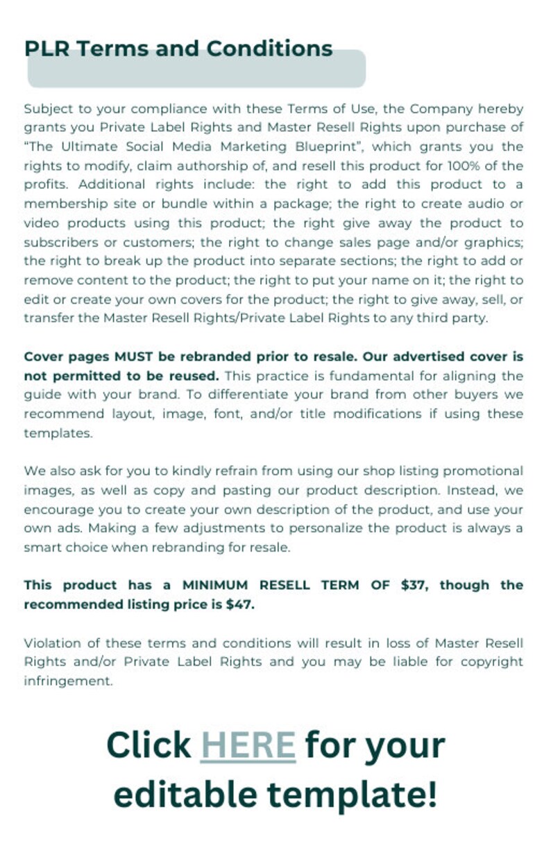 Resell Rights Included Social Media Marketing Blueprint Ebook, Instagram Guide, Canva (MRR ...