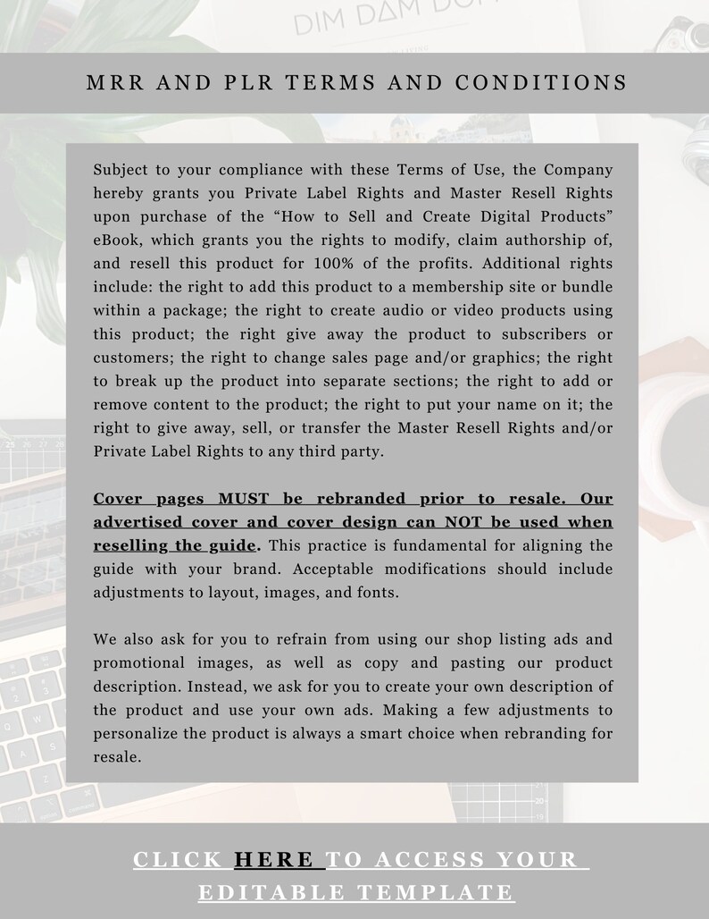 Digital Product Guide – Canva Template With MRR & PLR (PDF) - Etsy