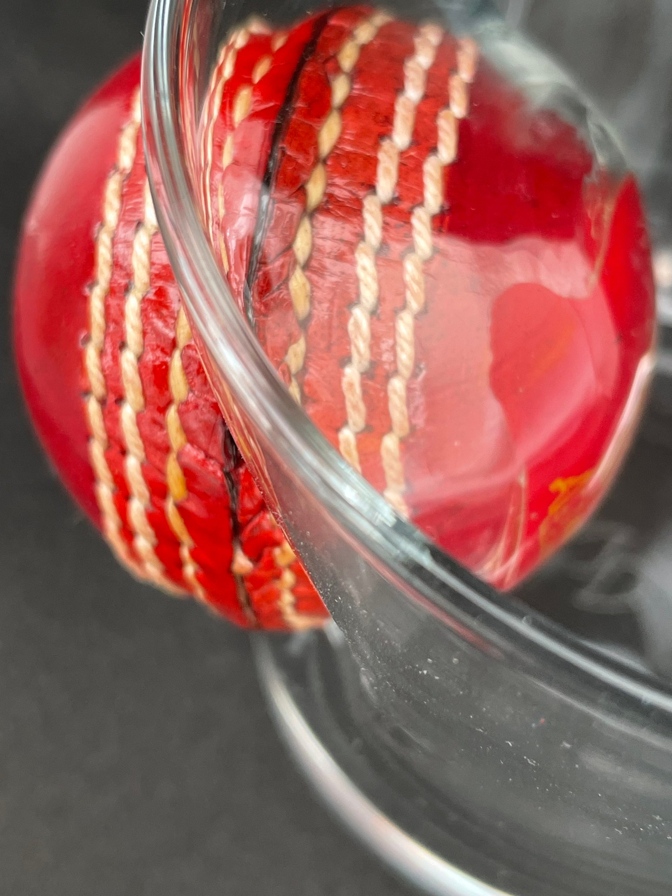 Cricket Gift for Men Whisky Glass with real souvenir Cricket Etsy