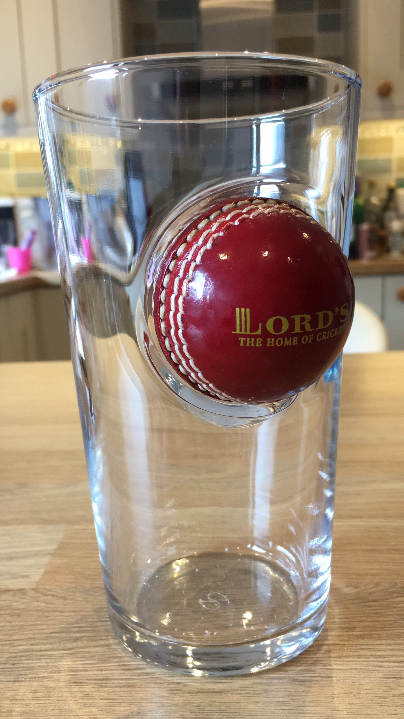 Cricket Gift for Men Pint Glass with real souvenir Cricket Etsy